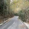 Motorcycle Road therisiano-gorge--theriso- photo